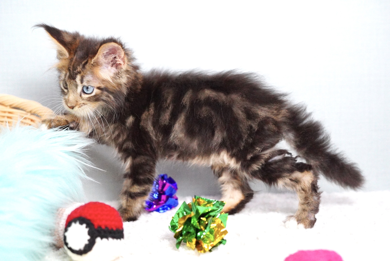 エランくんの写真2