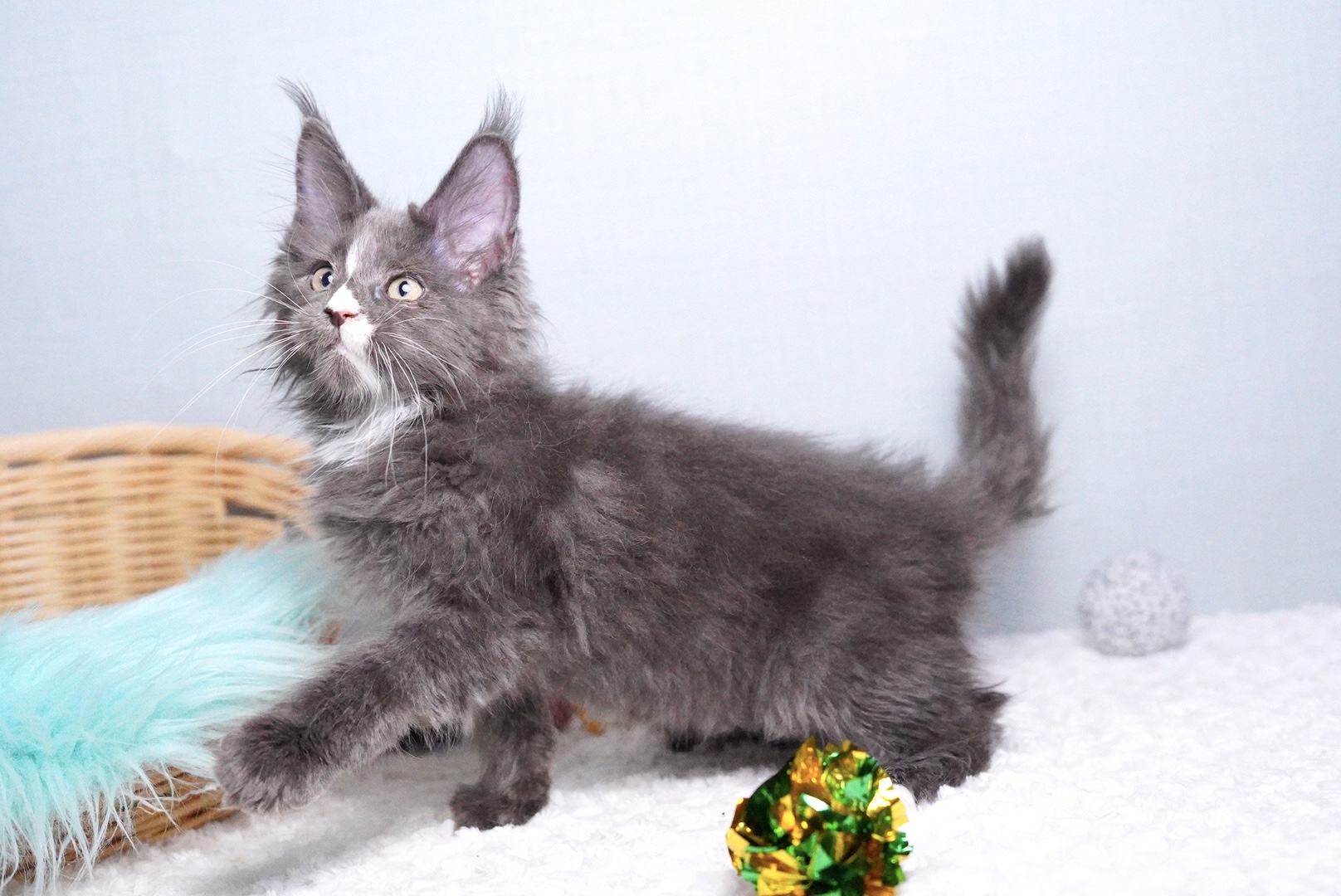 ロダンくんの写真5