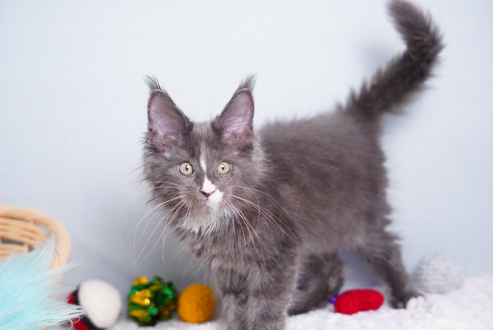 ロダンくんの写真2