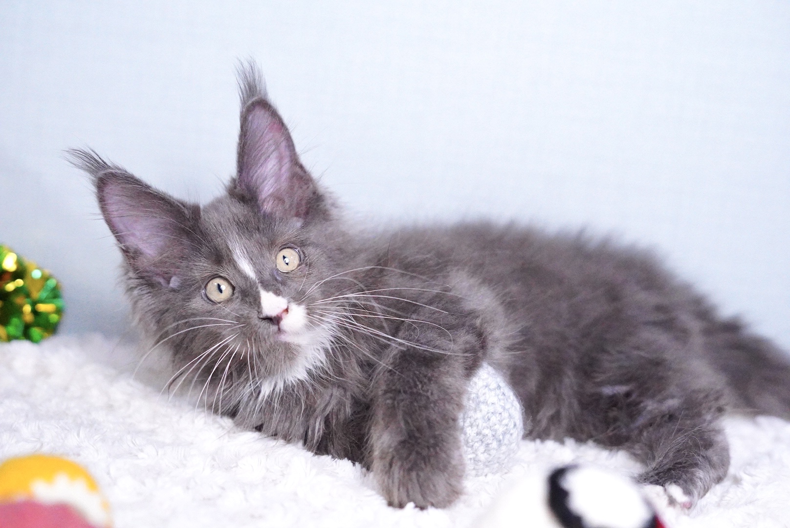 ロダンくんのメイン写真