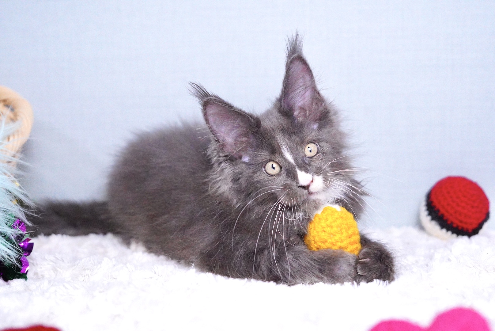 ロダンくんの写真4