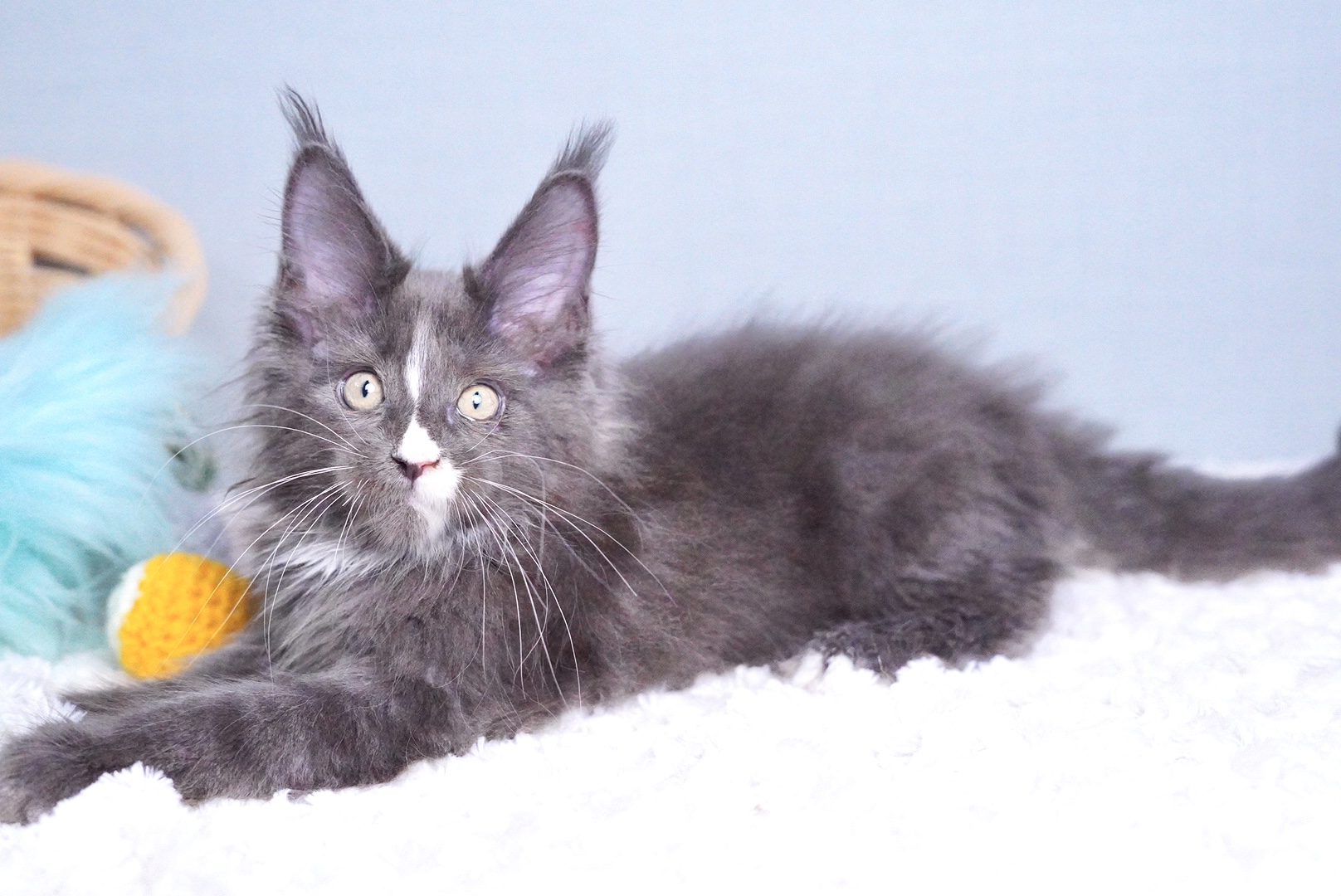 ロダンくんの写真8