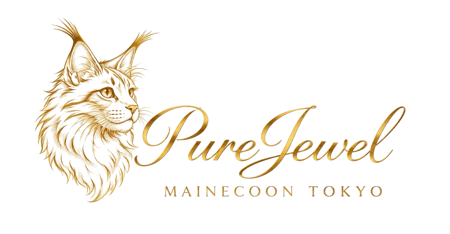 PureJewel MAINECOON TOKYO